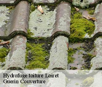 Hydrofuge toiture 45 Loiret  BR COUVERTURE