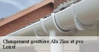 Changement gouttière Alu Zinc et pvc Loiret