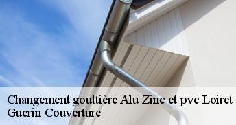 Changement gouttière Alu Zinc et pvc Loiret
