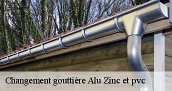 Changement gouttière Alu Zinc et pvc Loiret