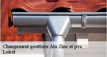Changement gouttière Alu Zinc et pvc Loiret 