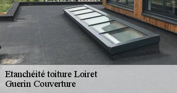 Etanchéité toiture Loiret 