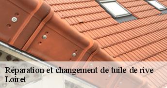 Réparation et changement de tuile de rive Loiret