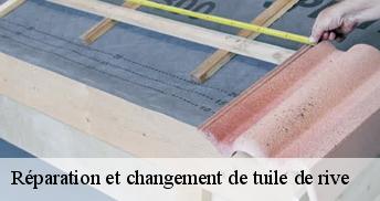 Réparation et changement de tuile de rive  Loiret 