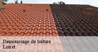 Demoussage de toiture Loiret