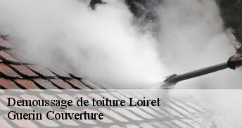 Demoussage de toiture Loiret