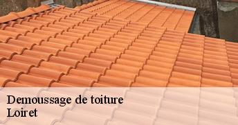 Demoussage de toiture