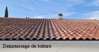 Demoussage de toiture Loiret 