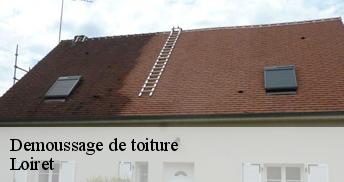 Demoussage de toiture Loiret 