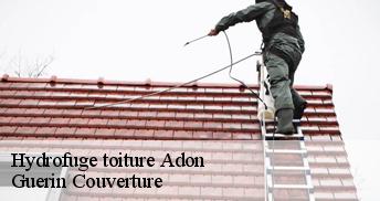 Hydrofuge toiture 45230