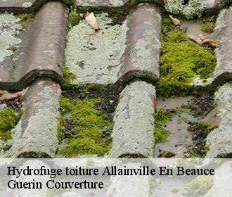Hydrofuge toiture allainville-en-beauce-45480 Guerin Couverture