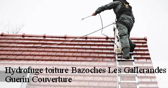 Hydrofuge toiture 45480