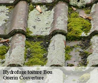 Hydrofuge toiture bou-45430 Guerin Couverture