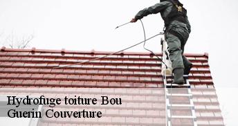 Hydrofuge toiture 45430