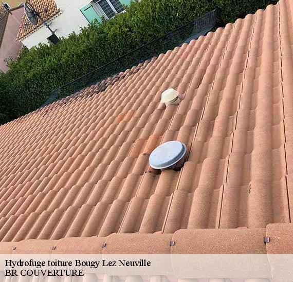 Hydrofuge toiture  bougy-lez-neuville-45170 BR COUVERTURE