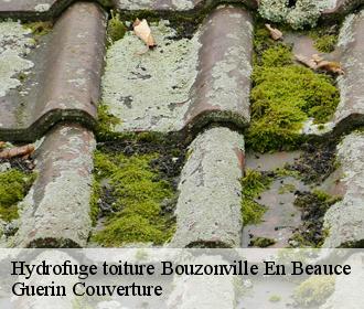 Hydrofuge toiture bouzonville-en-beauce-45300 Guerin Couverture