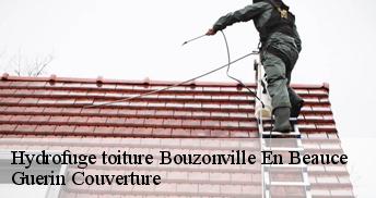 Hydrofuge toiture 45300