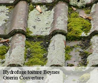 Hydrofuge toiture boynes-45300 Guerin Couverture
