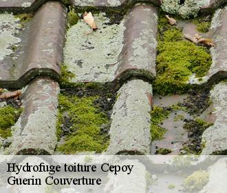 Hydrofuge toiture cepoy-45120 Guerin Couverture
