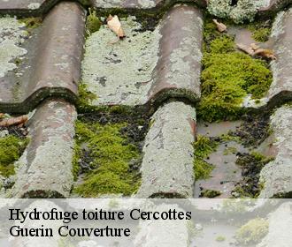 Hydrofuge toiture cercottes-45520 Guerin Couverture