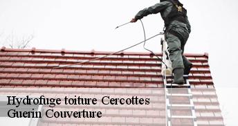 Hydrofuge toiture 45520