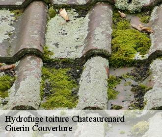 Hydrofuge toiture chateaurenard-45220 Guerin Couverture