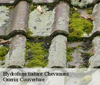 Hydrofuge toiture  chevannes-45210 BR COUVERTURE