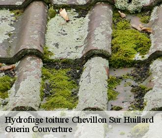 Hydrofuge toiture chevillon-sur-huillard-45700 Guerin Couverture