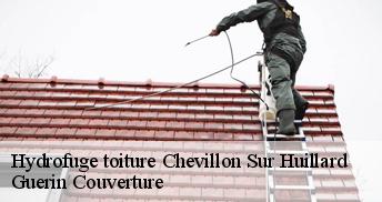 Hydrofuge toiture 45700