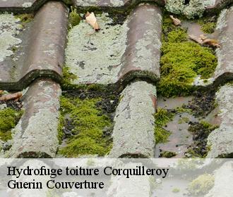 Hydrofuge toiture corquilleroy-45120 Guerin Couverture
