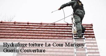 Hydrofuge toiture 45260