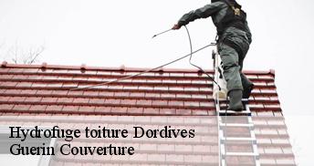 Hydrofuge toiture 45680