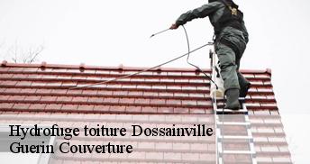 Hydrofuge toiture 45300