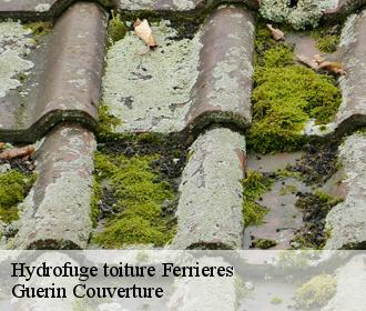 Hydrofuge toiture ferrieres-45210 Guerin Couverture