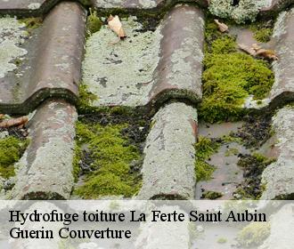 Hydrofuge toiture la-ferte-saint-aubin-45240 Guerin Couverture