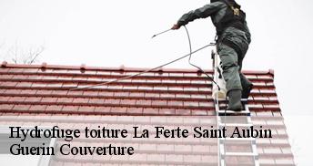 Hydrofuge toiture 45240