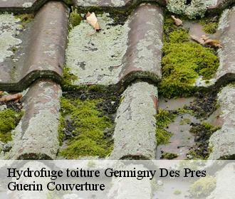 Hydrofuge toiture germigny-des-pres-45110 Guerin Couverture