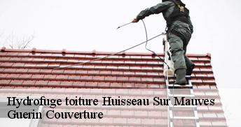 Hydrofuge toiture 45130