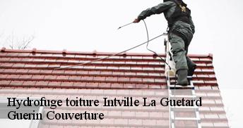 Hydrofuge toiture 45300
