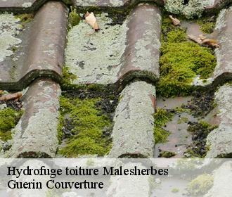 Hydrofuge toiture malesherbes-45330 Guerin Couverture