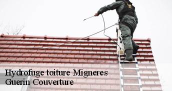 Hydrofuge toiture 45490