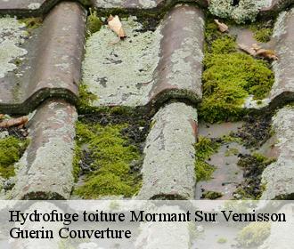 Hydrofuge toiture mormant-sur-vernisson-45700 Guerin Couverture
