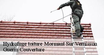 Hydrofuge toiture 45700
