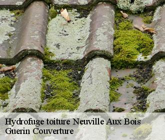 Hydrofuge toiture neuville-aux-bois-45170 Guerin Couverture