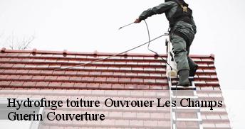 Hydrofuge toiture 45150