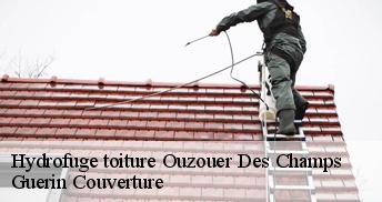 Hydrofuge toiture 45290