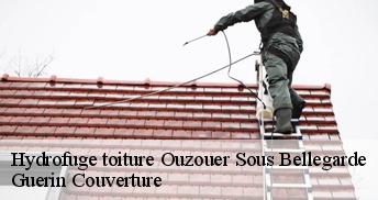 Hydrofuge toiture 45270