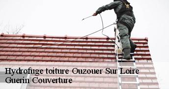 Hydrofuge toiture 45570