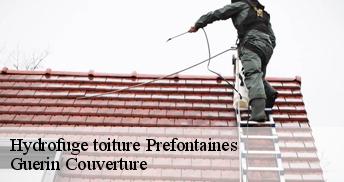Hydrofuge toiture 45490
