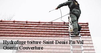 Hydrofuge toiture 45560